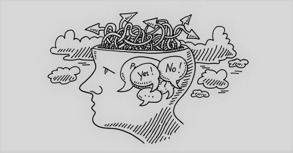 План описания животного 5 класс по русскому языку