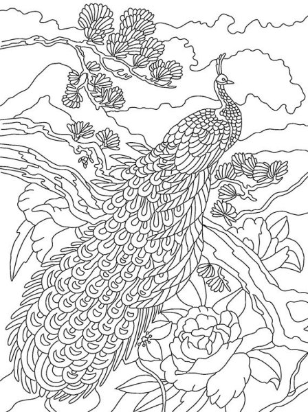 Картины Керби Розанес