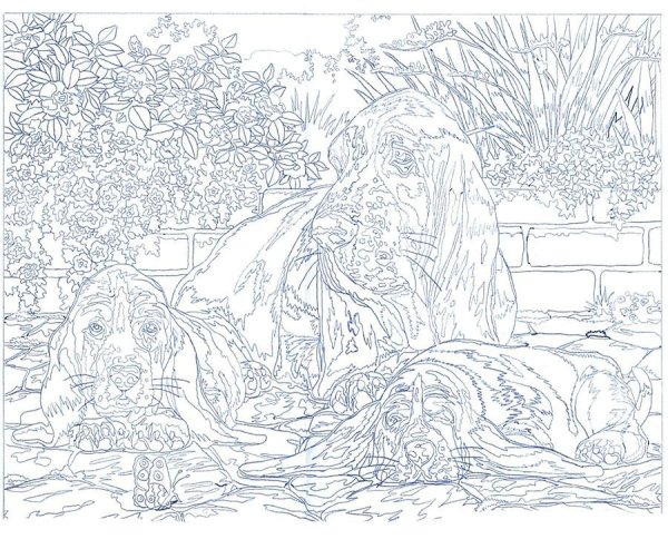 Томас Кинкейд Дисней Колоринг