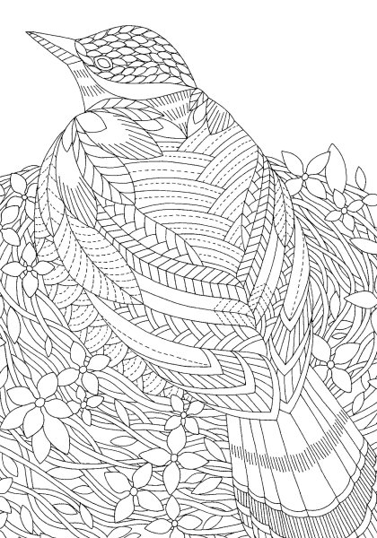 Раскраска антистресс птички узоры