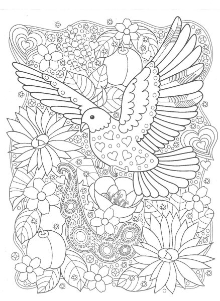 Раскраска птицы сложные