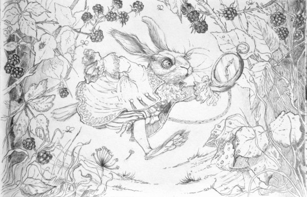 Алиса в Зазеркалье раскраска