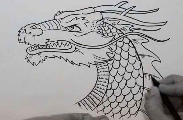 Рисунки драконов ручкой