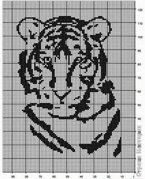 Филейная схема тигр