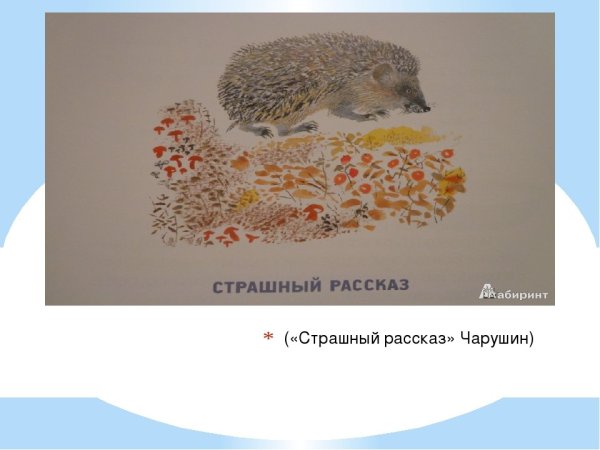 Евгений Чарушин страшный рассказ иллюстрации