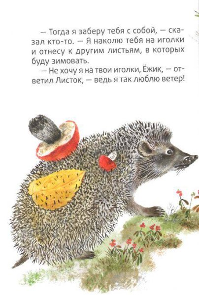 Рассказ е Чарушина ёж