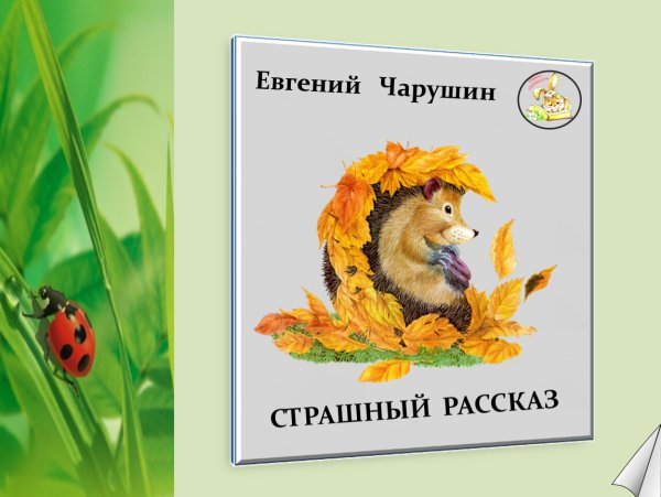 Е Чарушин страшный рассказ