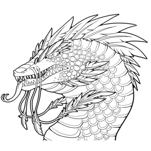 Раскраска антистресс дракон