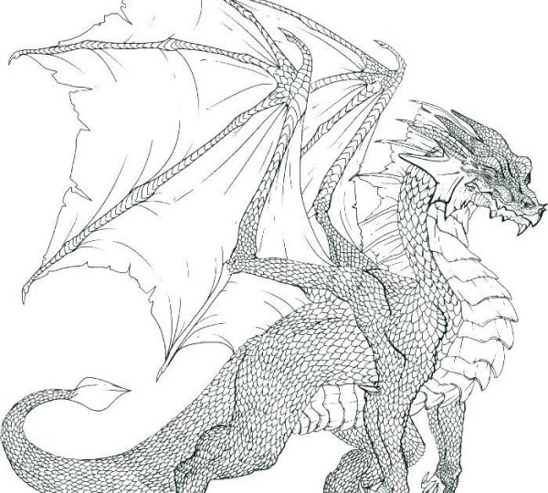 Мандала дракон