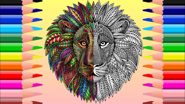 Мандала животные цветные