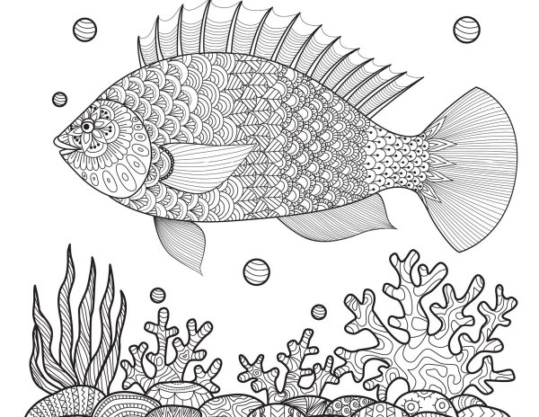 Экзотические рыбы раскраски