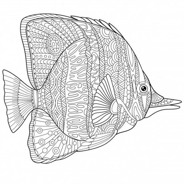 Экзотические рыбы раскраски