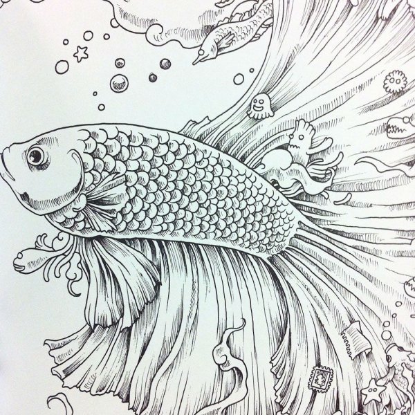 Дудлинг рыба