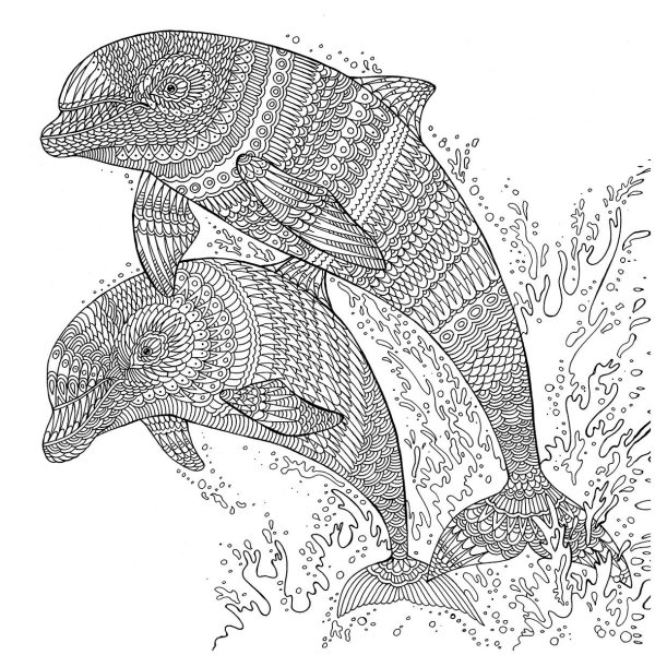 Дельфин Зентангл