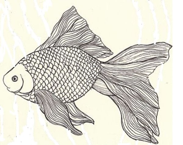 Рыба карандашом
