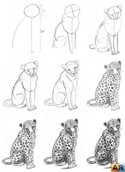 Поэтапное рисование сложного рисунка