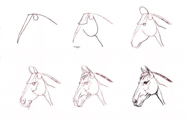 Эскизы карандашом для начинающих