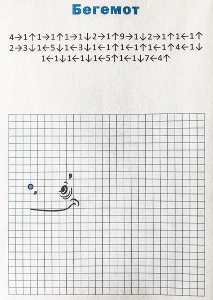 Графический диктант по стрелочкам для дошкольников