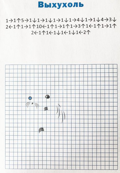 Графический диктант по клеточкам