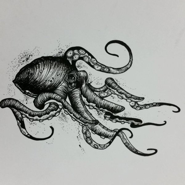 Осьминог блэкворк