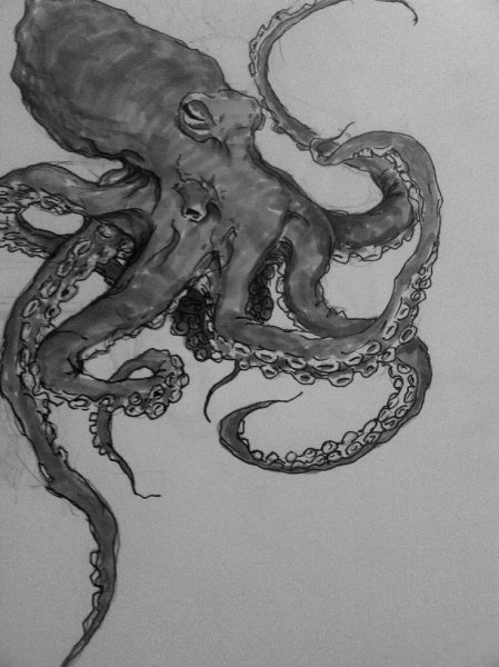 Мифоморфозы Кракен