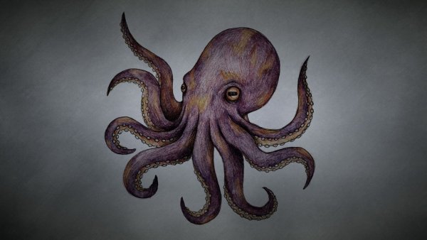 Эбигейл tentacles осьминог