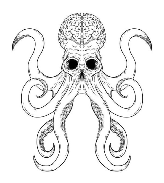 Осьминог черно белый