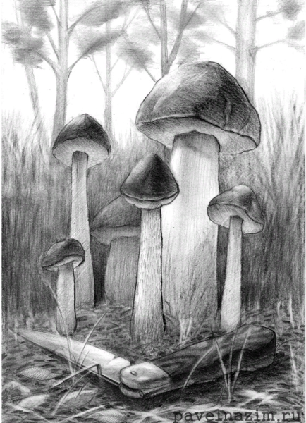 Лес карандашом