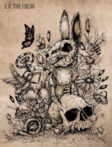 Животные призраки