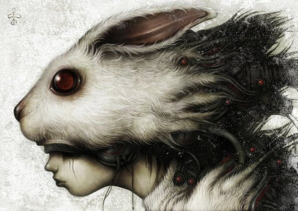 Прикольные картинки на черном фоне