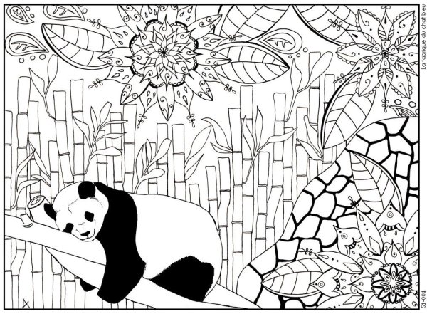 Раскраска сложная Панда