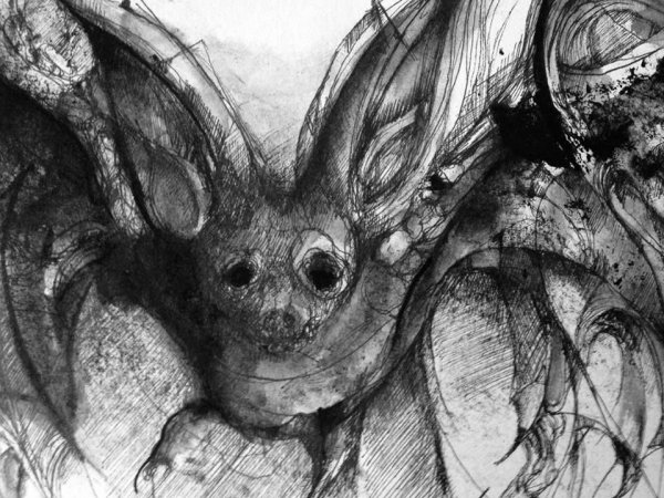 Летучая мышь арт