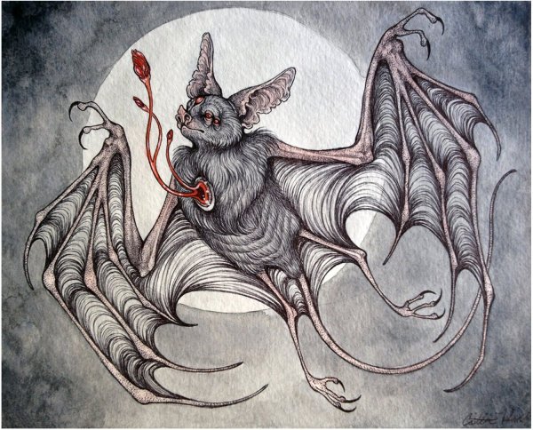 Кейтлин Хэкетт летучие мыши