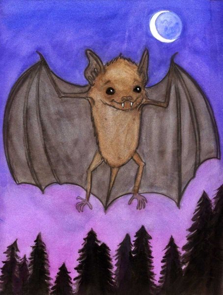 Летучая мышь