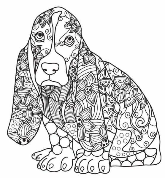 Раскраска антистресс