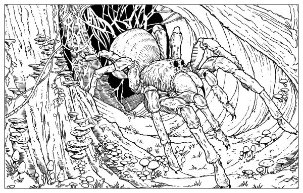 Красивые рисунки для взрослых