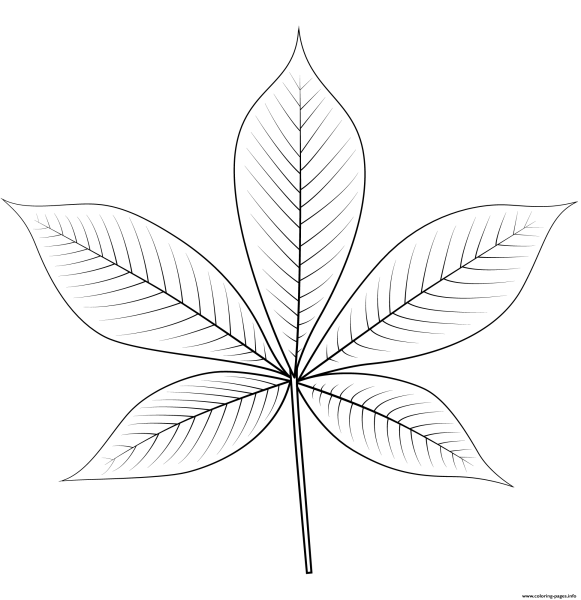 Лист каштана трафарет