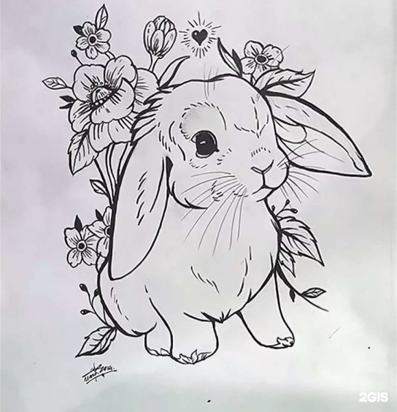 Рисунок кролика для срисовки