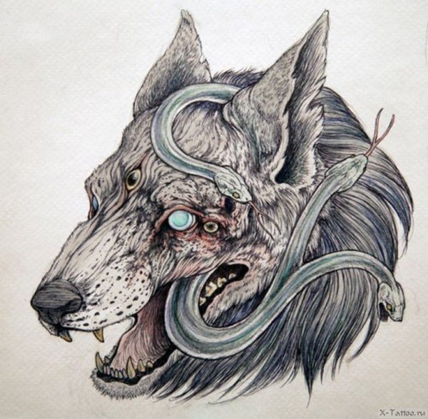 Сумасшедший кот страшный