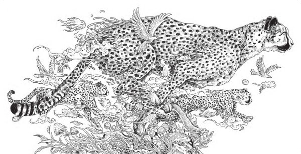 Керби Розанес метаморфозы