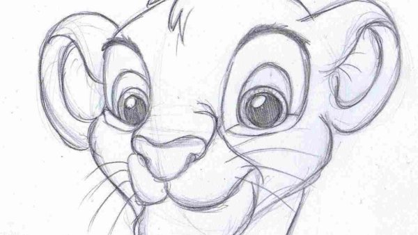 Красивые рисунки карандашом