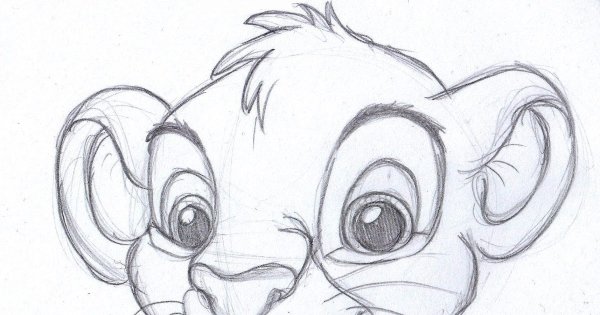 Симба рисунок карандашом для срисовки