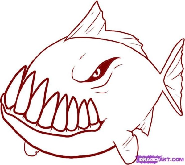 Раскраска рыба Пиранья