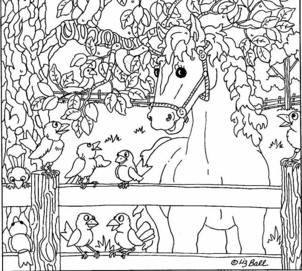 Задания на внимательность для дошкольников