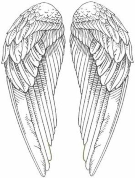 Сложенные Крылья ангела