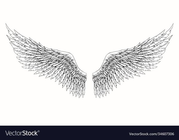 Ангел с расправленными крыльями эскиз