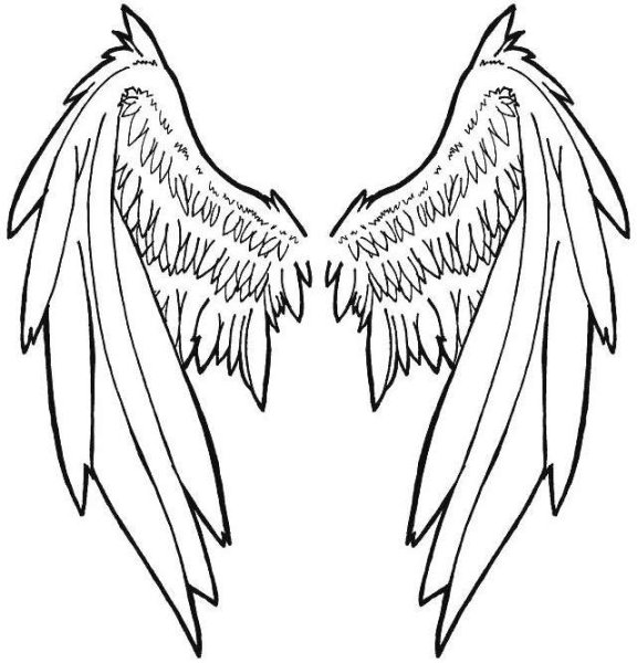 Крылья эскиз