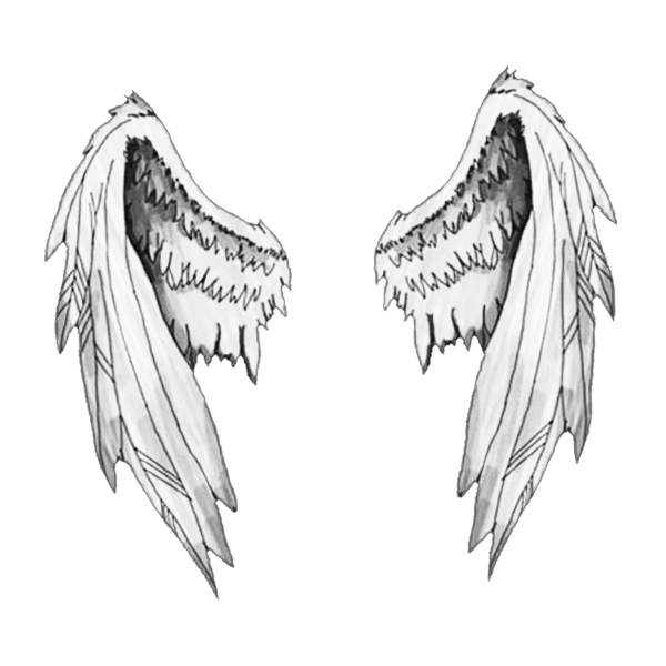 Крылья ангела референс