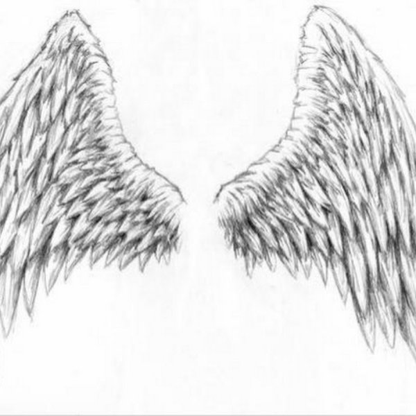 Крылья ангела рисунок карандашом