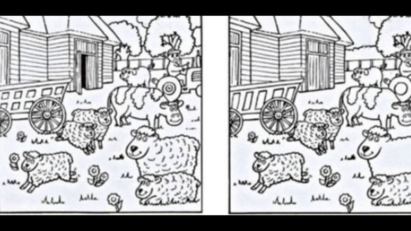 Найди 15 отличий черно белые